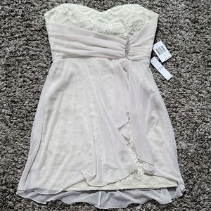 Size 13/14 Cocktail Dress, Lace and Sheer